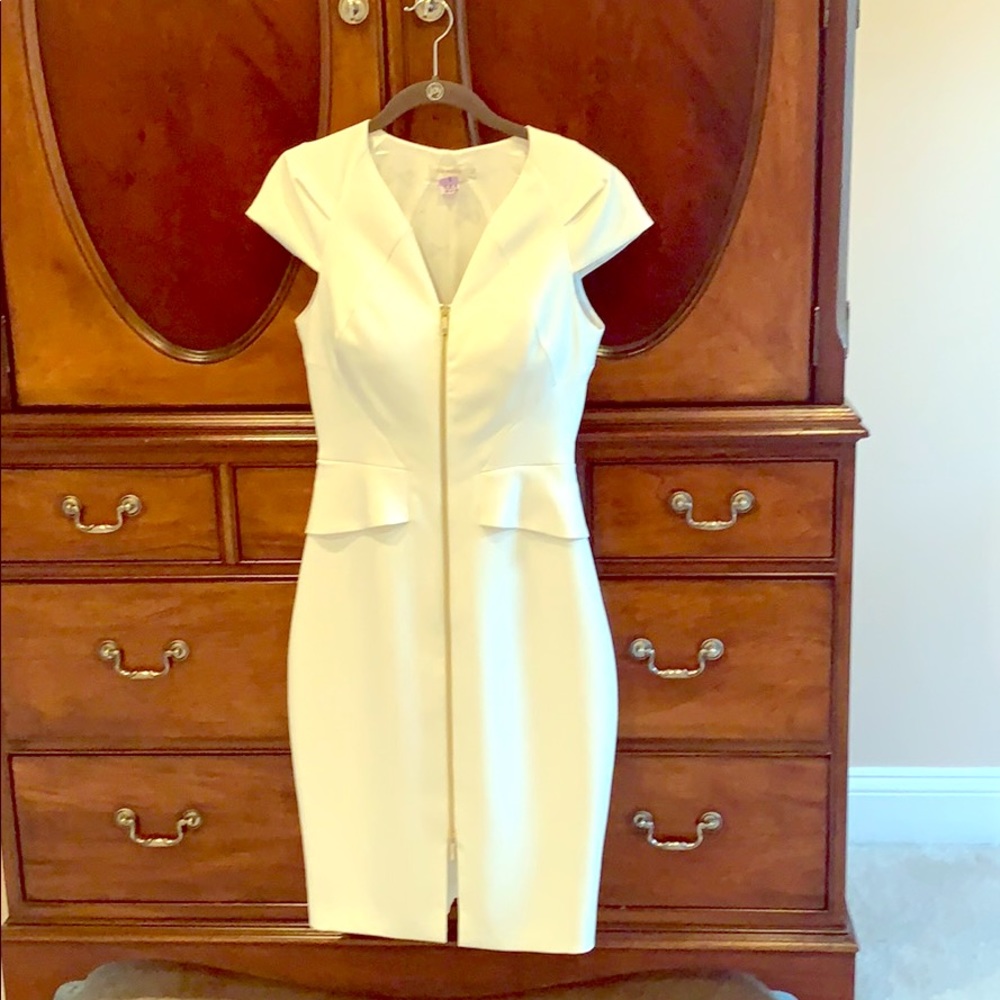 Ted Baker zip up knee length dress